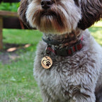 MYLUCKYTAG Stainless Steel QR Code Dog Tags - Scan QR for Instant Pet Location Alert Email