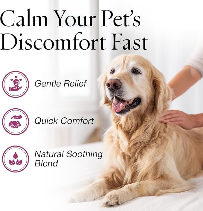 Jax N Daisy Don’t Let Your Dog Itch Lotion, 16 oz – Itch Relief for Dogs, Anti-Itch Skin Soother & Grooming Care