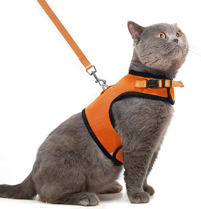 PUPTECK Soft Mesh Cat Vest Harness and Leash Set Puppy Padded Pet Harnesses Escape Proof for Cats Small Dogs Rabbits Bunny, Orange XL