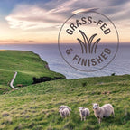 K9 Natural Cat Food Chicken and Venison Can, 85 GR