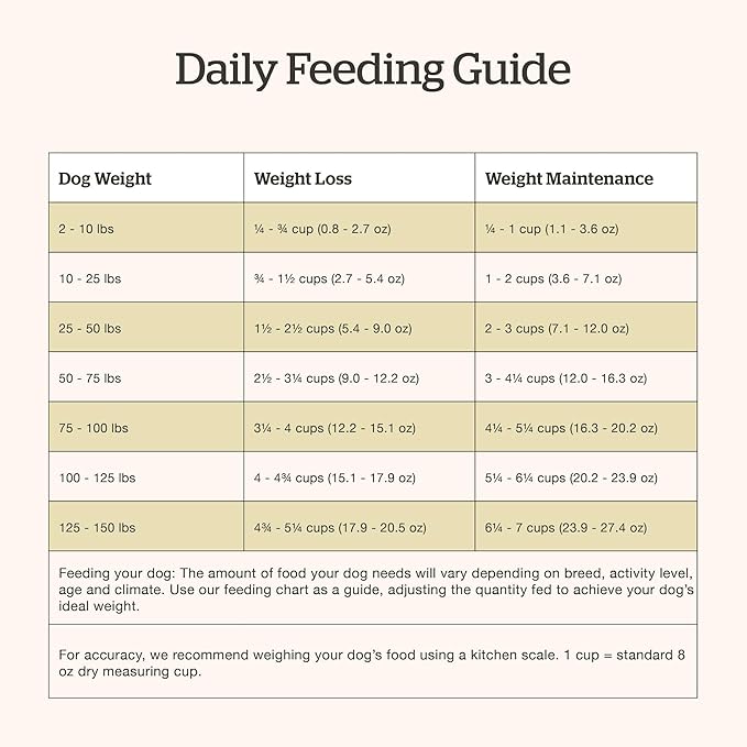 Now Fresh Grain-Free, Dry Dog Food, Real Meat and Fish, Turkey, Salmon and Duck Adult Recipe, All Breed Size, 22 lb Bag