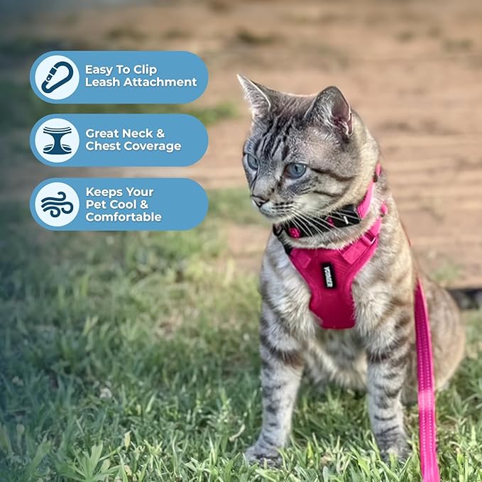 Voyager Escape-Proof Step-in Lock Cat Harness & 5ft Neoprene-Handle Leash Set All-Weather Mesh with Reflective Stitching for Small to Large Cats by Best Pet Supplies, Fuchsia, XXS