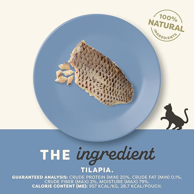 Applaws Natural Cat Treats, Grain-Free, Single Ingredient, Whole Protein Fillet, Healthy Snacks with No Artificial Additives (12 x 1.06oz Whole Tilapia Loin)