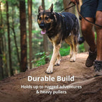 Ruffwear, Front Range Dog Harness, Reflective Soft Padded Everyday Harness with Dual Leash Clips, Adjustable and Lightweight Fit for Training or Walking for All Dogs, Spring Mountains, Medium