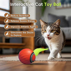 2Pcs Interactive Cat Toy 2.0, Automatic Moving Cat Ball Toy for Indoor Cats, Electric Rolling Pet Ball with Tail, Two Speed Adjustment, Pet Play Toys Balls (Blue+Orange)