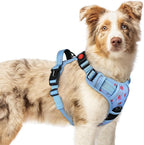 rabbitgoo Dog Harness Medium Sized, No Pull Pet Harness with 3 Buckles, Adjustable Soft Padded Vest with Control Handle, Walking Reflective Pet Vest for Medium Dogs, Floral Blue, M