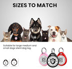 3 Pack Cat Tags Personalized Small, QR Code Cat Name Tags for Kitten Collar, Scan Location Alerts, Black,Pink,Red S