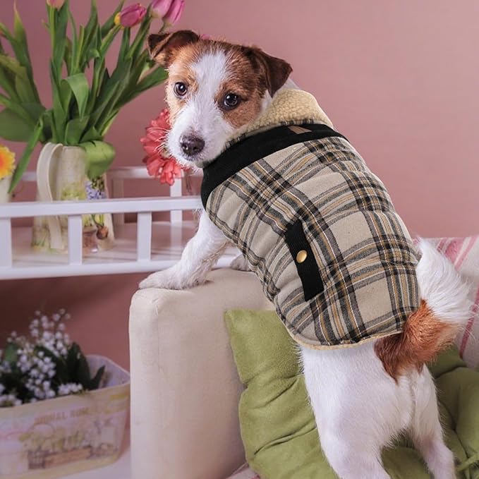 Large Dog Winter Jacket, Pet Warm Windproof Coat Dogs Cold Weather Coats Snow Jacket Pets Clothes, Golden Retriever, Labrador Retriever, Husky, Beige L