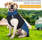 Windproof Dog Winter Jackets - Outdoor Coats for Cold Weather, Waterproof Raincoats with Leash Hole, Black, Blue S