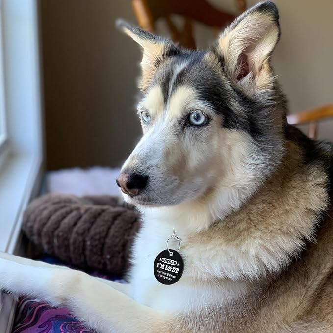 MYLUCKYTAG QR Code Stainless Steel Personalized Dog ID Tag, Engraved Collar Tag, Digital Pet Profile, Location Alert Email