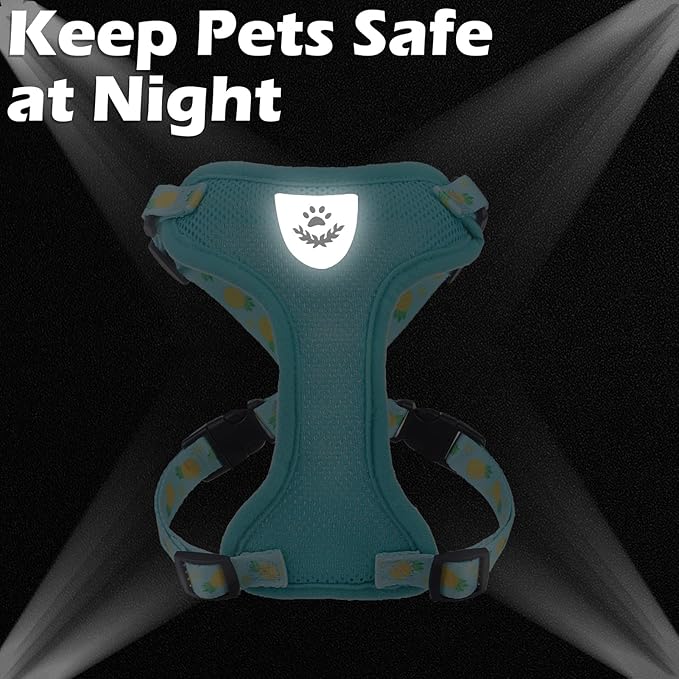 EXPAWLORER Cat Harness and Leash Set - Adjustable Escape Proof, Soft Vest Harness for Outdoor Walking, Breathable Mesh Lightweight for Kittens Puppies Small Animals, Lake Green M