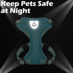 EXPAWLORER Cat Harness and Leash Set - Adjustable Escape Proof, Soft Vest Harness for Outdoor Walking, Breathable Mesh Lightweight for Kittens Puppies Small Animals, Lake Green M