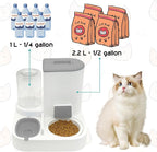 Fhiny Gravity Cat Feeder and Water Dispenser, 2 in 1 Automatic Pet Waterer Detachable Ceramic Food Bowls Set Pet Food Storage for Small Dog Puppy Cat Kitten Pet Easy Clean (Grey)