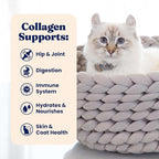 Solid Gold Bone Broth Cat Food Topper - Limited Ingredient Lickable Cat Broth Pouches w/Chicken Protein Shreds & Collagen for Hydration & Gut Support - Easy to Serve Gravy for Cats Meal Topper - 12ct