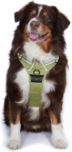 Doggie Design Venture Paw No Pull Dog Harness - Simple Adjustable Puppy Harness - Anti Pull Dog Collar for Walks and Outdoor Adventures - Aspen, XL