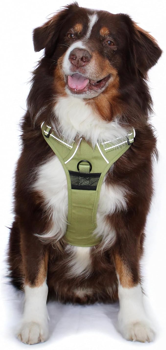Doggie Design Venture Paw No Pull Dog Harness - Simple Adjustable Puppy Harness - Anti Pull Dog Collar for Walks and Outdoor Adventures - Aspen, XL