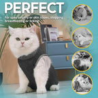 Avont Cat Recovery Suit - Kitten Onesie for Cats After Surgery, Cone of Shame Alternative Surgical Spay Suit for Female Cat, Post-Surgery or Skin Diseases Protection -Darkgrey(S)