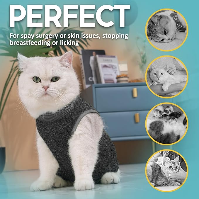 Avont Cat Recovery Suit - Kitten Onesie for Cats After Surgery, Cone of Shame Alternative Surgical Spay Suit for Female Cat, Post-Surgery or Skin Diseases Protection -Darkgrey(M)