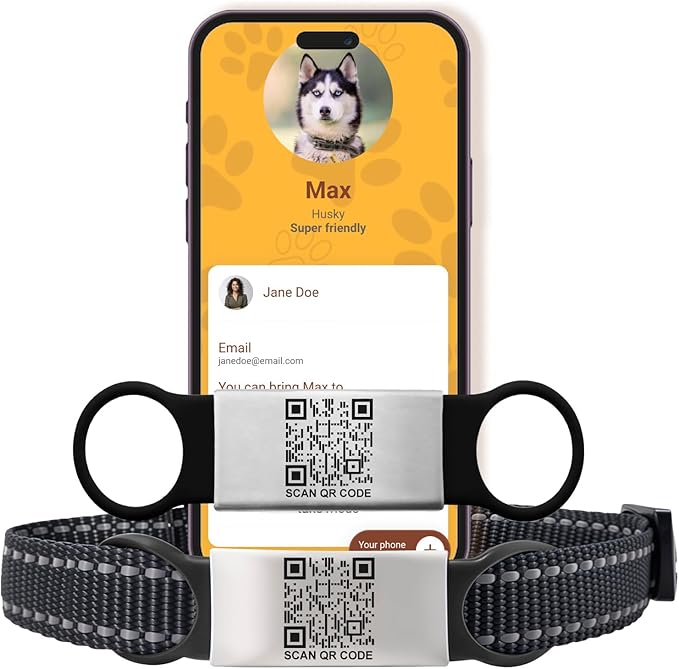Smart Slide-On QR Code Pet Tag – Silent Dog & Cat ID Tag with Laser Engraving – Stainless Steel & Silicone – No App Needed – Custom Pet Profile – Fits Most Collars (Black, Small)
