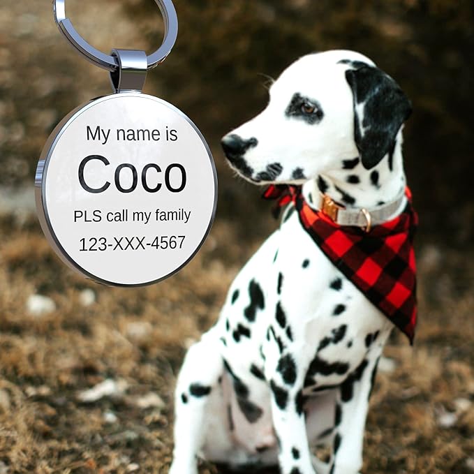 Dog Tags Personalized for Pets Custom Dog Tags Dog Name Tag QR Code Pet Tags Smart Pet ID Tags Free Online Pet Page Prevent Lost/Modifiable Colorful Paw Print