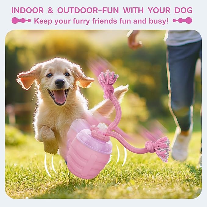 Interactive Dog Toys, [2025 Newly Upgraded] Interactive Dog Ball for Small Dogs, Automatic Moving Dogs Toy Wicked Ball for Boredom & Training, Play Music, USB Rechargeable(Pink)