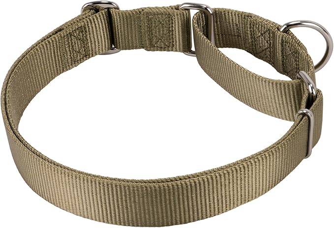 Hyhug Martingale Collar for Dogs Extra Large Green |Escape - Proof Heavy Duty Nylon Durable No Pull, Ideal for Training & Daily Walks