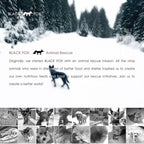 BLACK FOX Freeze-Dried Beef Liver Training Treats for Dogs and Cats | 260 Treats, 4oz, Single Ingredient, Raw Healthy, All Natural, Human Grade, Recyclable Packaging