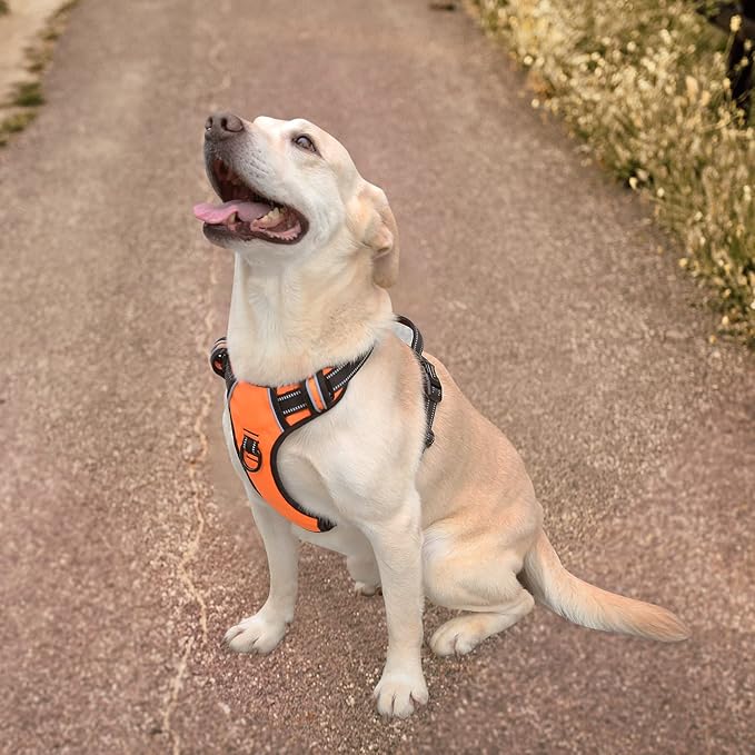 HEELE Dog Harness, No Pull Adjustable Padded Reflective Harness for Small Medium Large Dogs with Handle for Walking Training, Orange, XL