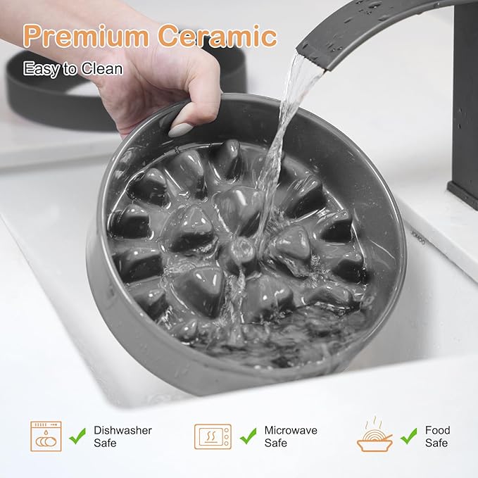 Sted Ceramic Slow Feeder Dog Bowl for Medium Large Breed, Puzzle Dog Food Bowl with Silicone Base, Maze Grey