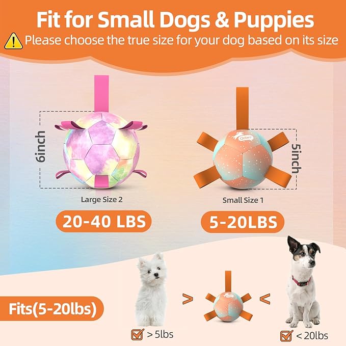 QDAN Small Dog Balls: Dog Soccer Ball with Straps- Premium Dog Toys Balls- Puppy Outdoor Dog Toys Pet Training Ball Birthday Gifts for Small Dogs- Rainbow Orange (5 Inch)