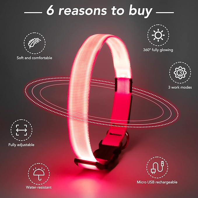 Light Up Collar, Led Dog Collar Adjustable, Rechargeable Waterproof, Night Walking Lights, Glow in Dark for Medium Large Dogs