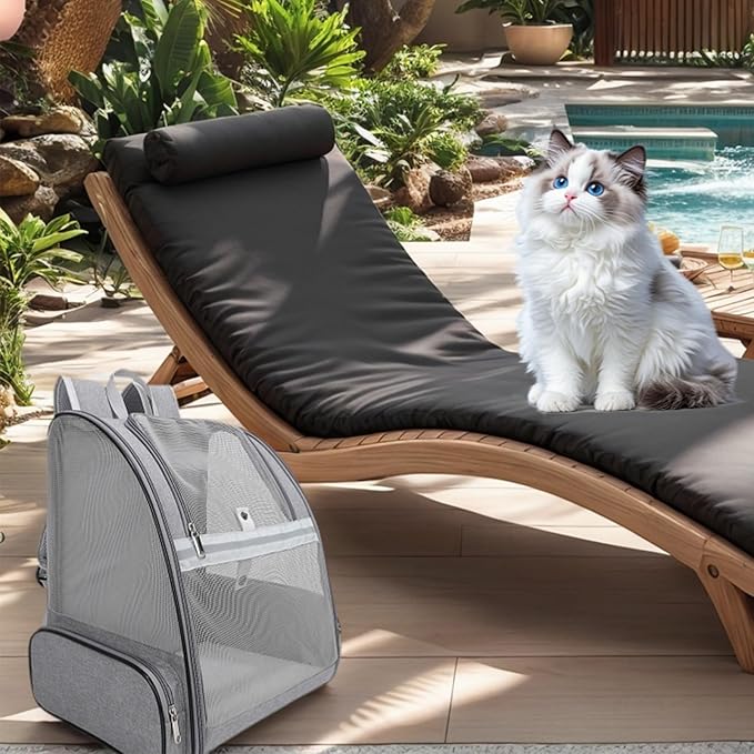 Dog Backpack Carrier,Pet Carrier for Cat/Small Dogs/Bunny,Ventilated Mesh Dog Backpack,Dog Travel Bag,Dog Bag,Small Dogs/Medium Cats Fit Up to 11lbs,Foldable Dogs Carrying Backpack