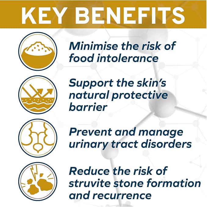 Forza10 - Cat Food, Urinary Tract Wet Cat Food, Non GMO, Vet-Approved UTI Support with Salmon Flavor, Made in Italy (3.5 oz, 32 Pack)