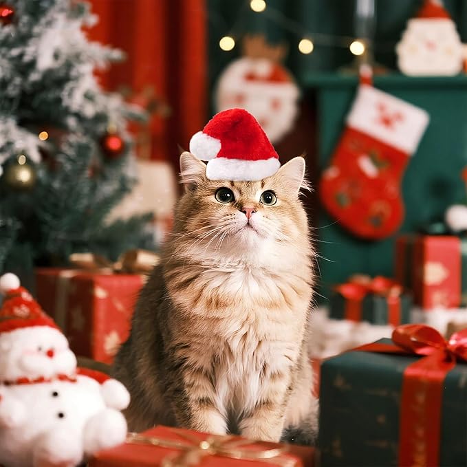 Nydotd 8 Pieces Dog Santa Hat PET Christmas Hat Small Santa Cat Hats Soft Plush Christmas Costumes Supplies for Tiny Dog Cat Puppy Kitten Crafts