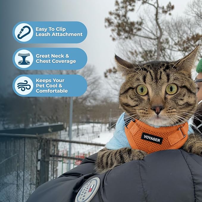 Voyager Escape-Proof Step-in Lock Cat Harness & 5ft Neoprene-Handle Leash Set All-Weather Mesh with Reflective Stitching for Small to Large Cats by Best Pet Supplies, Orange, S