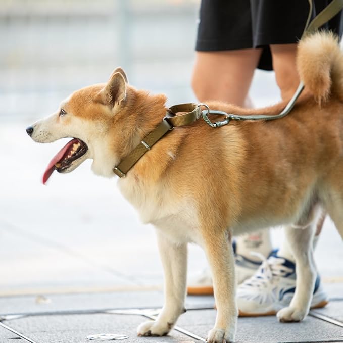 Hyhug Martingale Collar for Dogs Large Yellow |Escape - Proof Heavy Duty Nylon Durable No Pull, Ideal for Training & Daily Walks