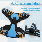 rabbitgoo Dog Harness No Pull with 2 Leash Clips, Adjustable Soft Padded, Reflective Oxford No Choke Pet Vest with Easy Control Handle for Medium Sized Dogs, Blue, M