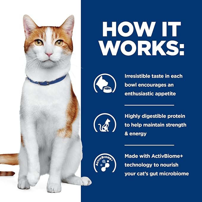 Hill's Prescription Diet ONC Care Wet Cat Food, Chicken & Vegetable Stew, Veterinary Diet, 2.9 oz. Cans, 24-Pack