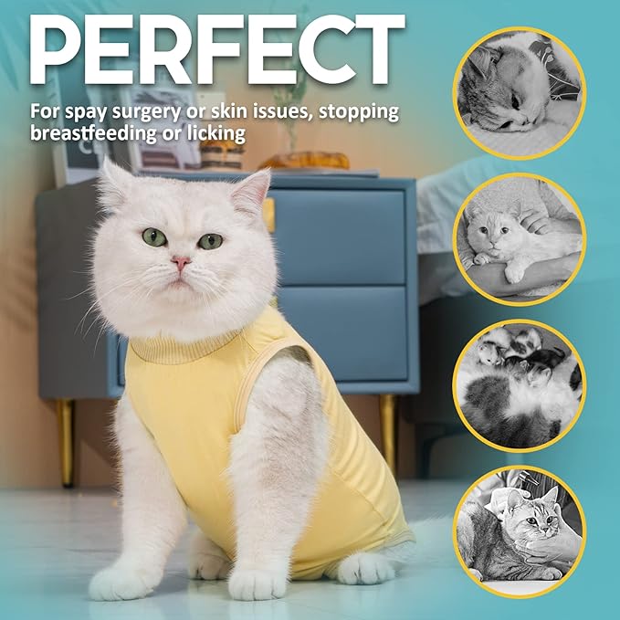 Avont Cat Recovery Suit - Kitten Onesie for Cats After Surgery, Cone of Shame Alternative Surgical Spay Suit for Female Cat, Post-Surgery or Skin Diseases Protection -Yellow(L)