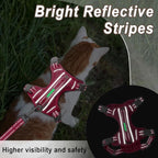 Cat Harness and Leash Set for Walking Escape Proof for Small Large cat Kitten Harness with ID tag Pocket (Pink,XXS)