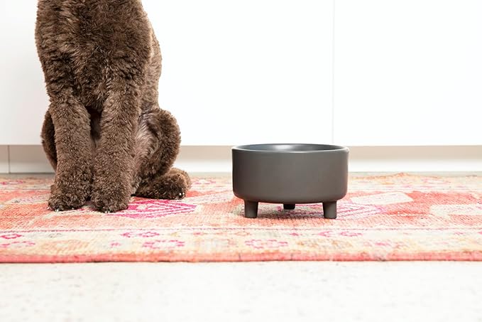 Waggo Uplift Ceramic Dog Bowl for Small Medium and Large Breeds - Heavyweight and Durable Pet Food and Water Dish Crock, Dishwasher Safe, Modern, Elevated Feeder (White, Large)