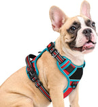 Eagloo Dog Harness Medium Sized, Easy Wearing with 3 Buckles, Adjustable No Pull Pet Harness with 2 Rings for Walking, No Chock Reflective Soft Padded Vest with Control Handle, Red & Teal, M