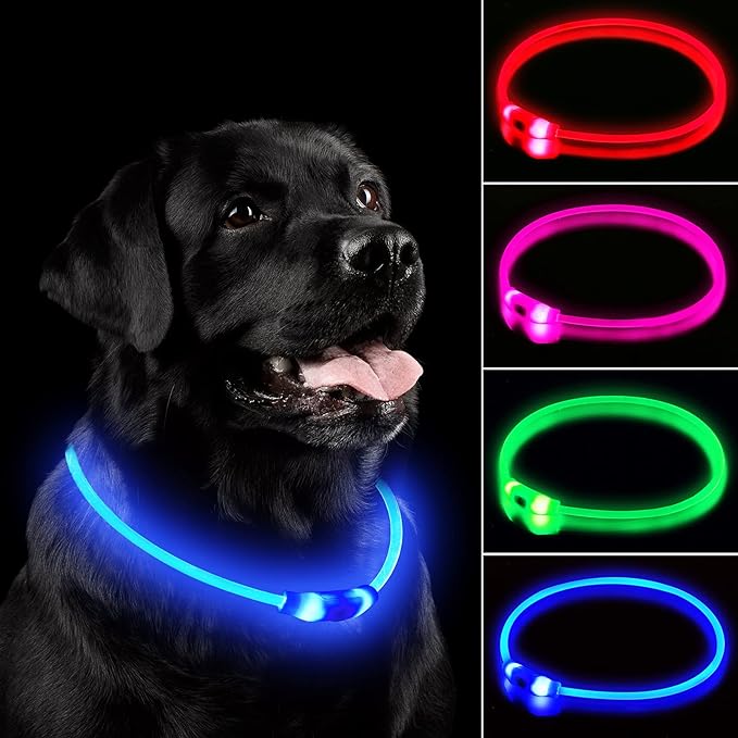 LED Dog Collar, Rechargeable Light Up Dog Collars,IP67 Waterproof Dog Lights for Night Walking，Adjustable, Reusable Safety Necklace for Small Medium Large Dogs(Blue)