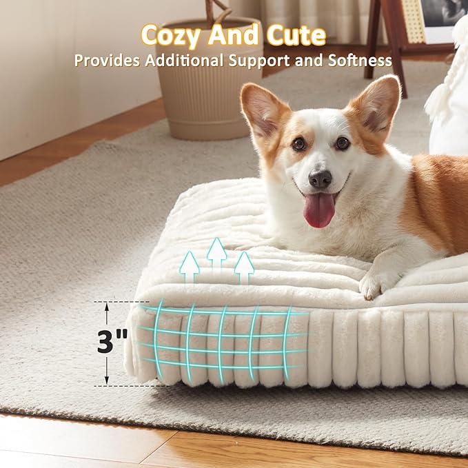 Dog Beds for Small Dogs, Flat Pet Beds with Removable Washable Cover, Pet Mat Cute Dog Crate Bed Thick Shredded Chopped Crate Foam & Anti Slip Bottom for Indoor, 23"x18"x3" Cream