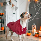 SCENEREAL Fleece Dog Sweater Hoodie for Small Medium Large Dogs, Fuzzy Warm Puppy Sweatshirt with Pocket, Girl Boy Pet Clothes for Winter/Fall, Designer Cute Male/Female Cat Clothes with Leash Hole