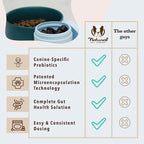 Natural Dog Company Gut Health & Canine Specific Probiotics Chews, 1 Daily Chew for All Dogs, Prebiotics & Digestive Enzymes for Digestion, Gas, Loose Stool, Immune System & Bowel Support, 45 Ct