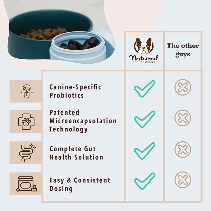 Natural Dog Company Gut Health & Canine Specific Probiotics Chews, 1 Daily Chew for All Dogs, Prebiotics & Digestive Enzymes for Digestion, Gas, Loose Stool, Immune System & Bowel Support, 45 Ct