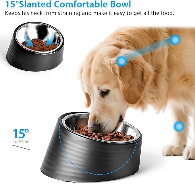 Tilted Angle Dog Bowl, 15° Slanted Stainless Steel Dog Cat Food Bowl, Non-Slip & Non-Spill Pet Feeder with Elevated Detachable Melamine Stand, Easy to Get Food Dish, Large 2 Cup Black