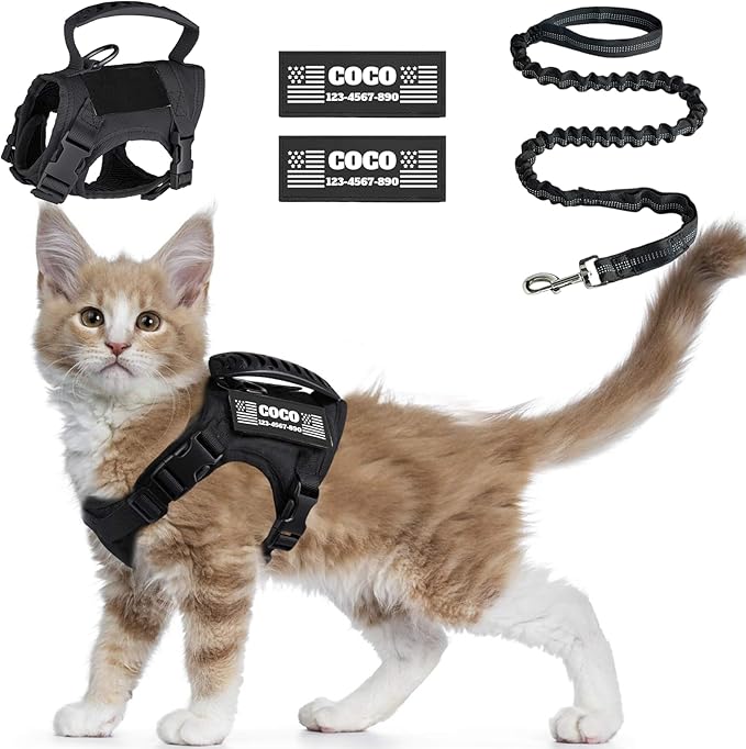 Tactical Cat Harness Escape Proof for Walking with Personalized Patches - Adjustable Cat Harness 8-20lbs Escape Proof - Soft Vest for Large Kitty with Optional Leash (Black)