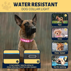 Glowing Dog Collar 3D LED Dog Collars Rechargeable Adjustable 15-in-1 Light Up Dog Collars Waterproof Large Dog Collar for Night Walking, Pink